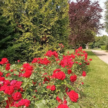 Domaine Du Perrier Bed & Breakfast 3*